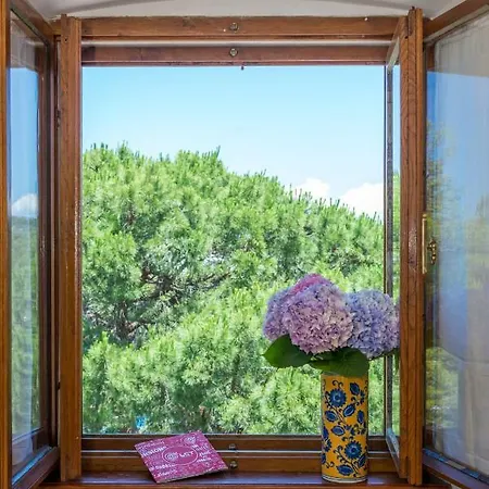 Dvorac “kastil Jela” Milna (Brac)