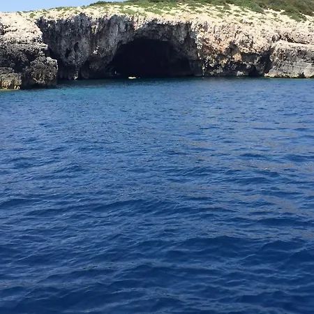 Dvorac “kastil Jela” Gostinjska kuća *